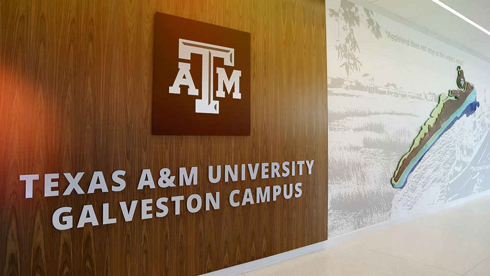 Texas A&amp;M University Galveston Campus sign in new building