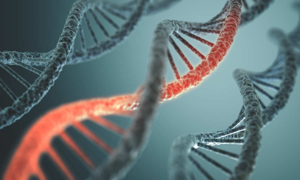 three spiral ladder-shaped DNA strands