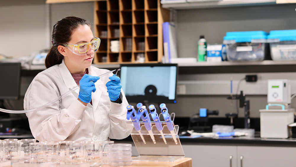 Student works on research in the lab