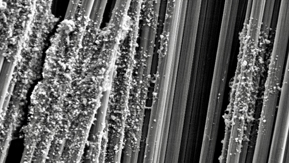 Electron micrograph showing cellular nanocrystals on the carbon fibers