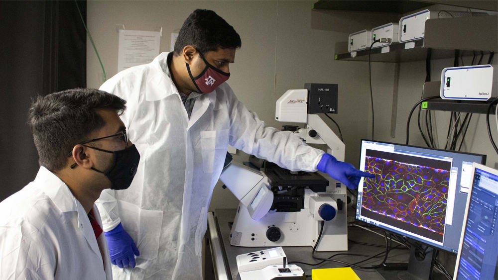 Two researchers looking at microscope imaging in lab. Both are wearing personal protective equipment.