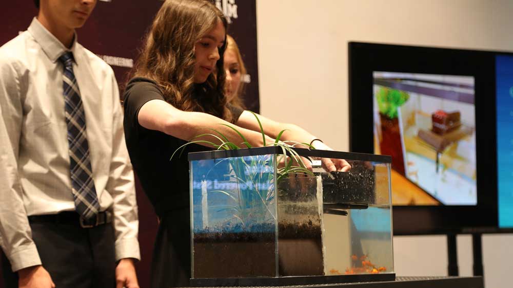 Lady putting a device in a fish tank filled with water and fish.