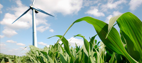 Wind turbine surrounded by crops