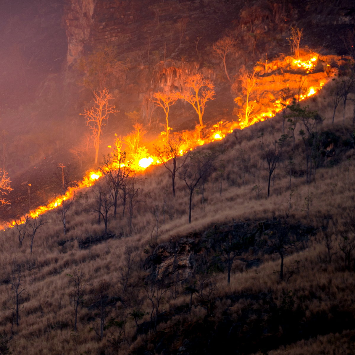 Fire rages along a dry mountainside.