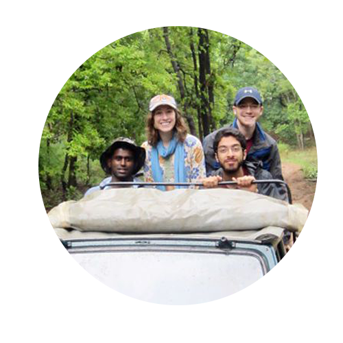 Four students in a safari