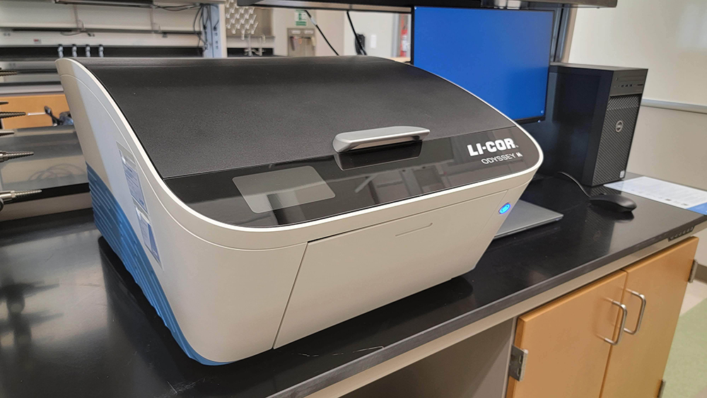 Imaging System – LI-COR Odyssey CLx on desk in lab