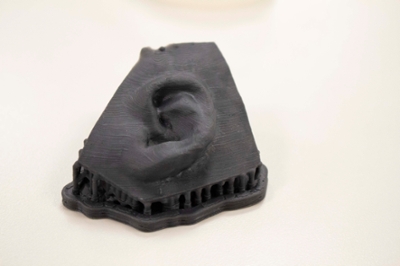 A 3D model of an infant's ear