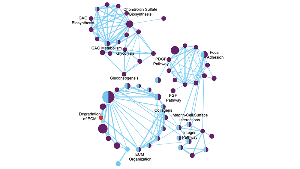 Image showing gene set enrichment analysis graph. 