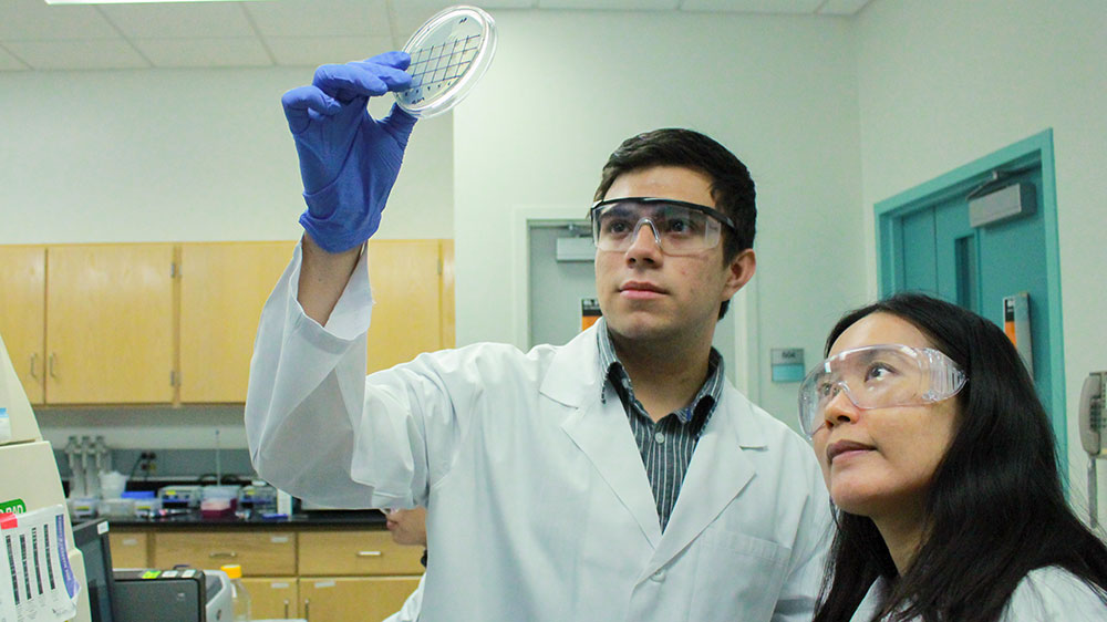 Two students looking at petri dish