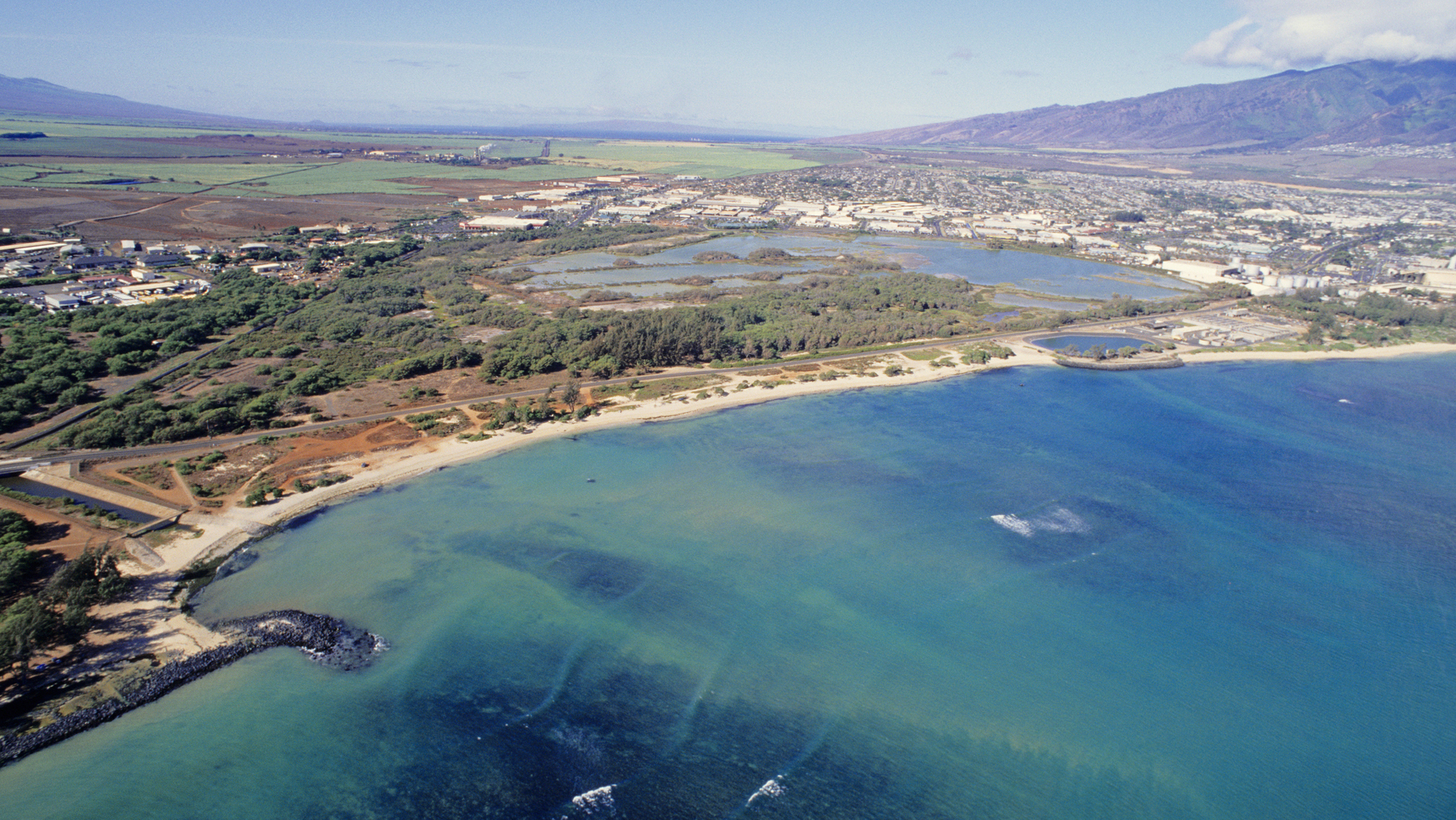 Aerial view of the coastline 