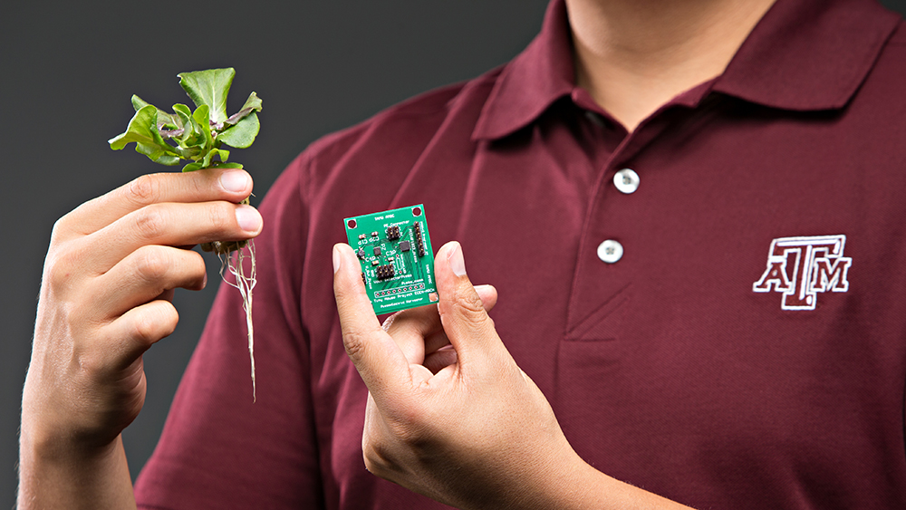 Student holding microchip and plant