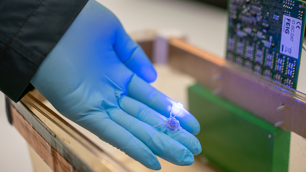 Close-up of wireless optogenetic device in hand with gloves