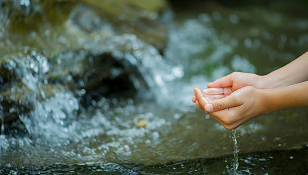 Hands scooping water in a stream