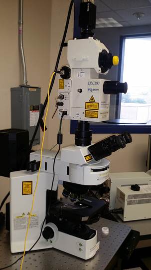 Olympus BX 61/Visitech QLC-100 Confocal Microscopy