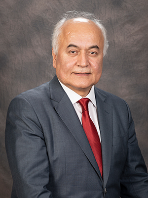 Dr. Ali Erdemir