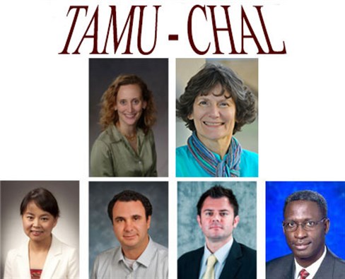 Image of TAMU C-HAL team