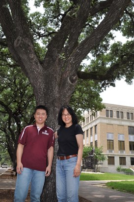 dissertation fellowship tamu