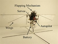 Robotic Hummingbird Labeled Web