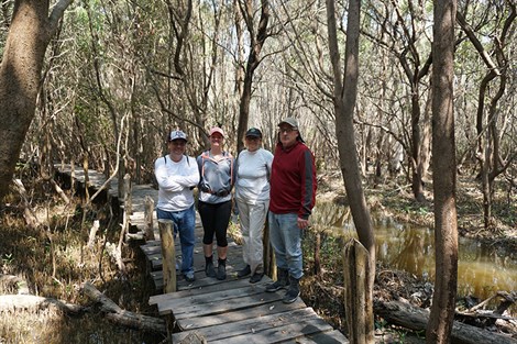 Researchers studying mangroves in Mexico