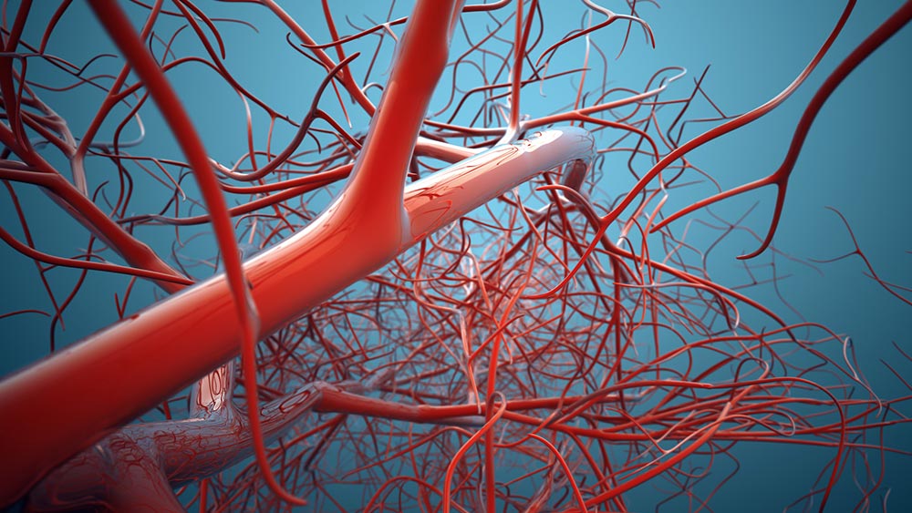A photo of research conducted by Dr. Akhilesh Gaharwar and his team to develop a new platform to form blood vessels.
