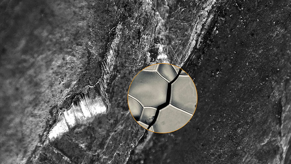 A nickel alloy embrittled by hydrogen is shown as it propagates along grain boundaries