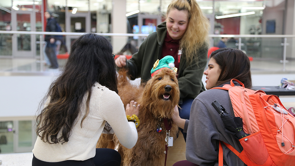 Students pet a dog.