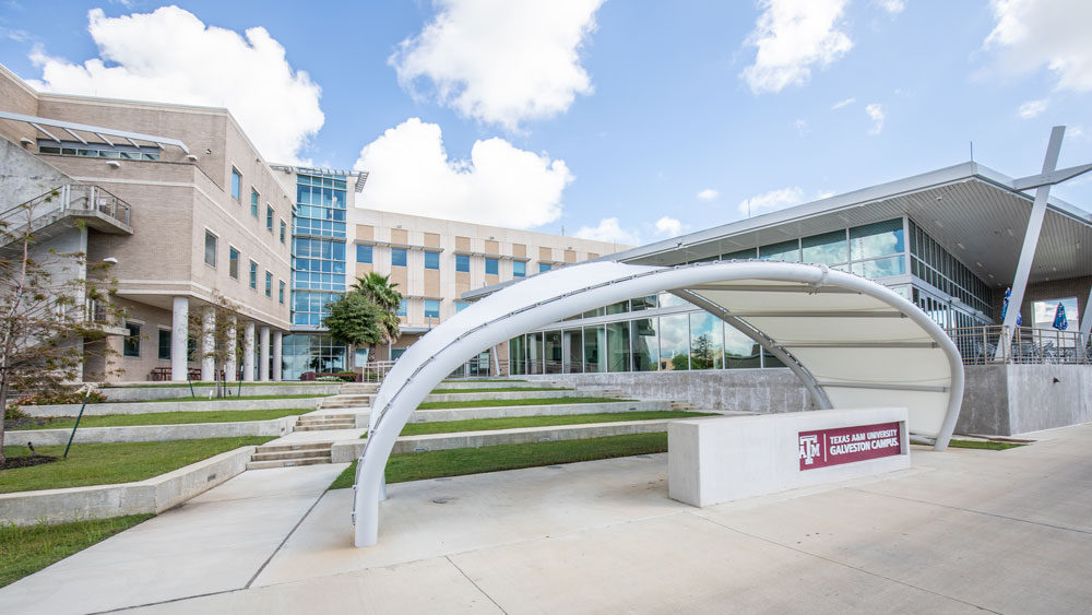 Buildings on Texas A&amp;M Galveston campus