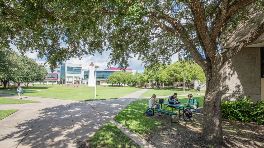 Students sitting under a tree on Texas A&amp;M University's Galveston campus