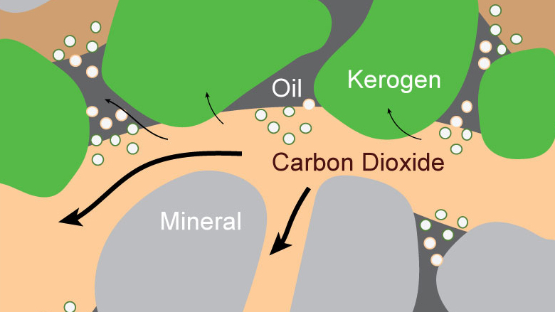 Graphic of carbon dioxide traveling easily in some areas of shale reservoir but not easily through kerogen pockets.