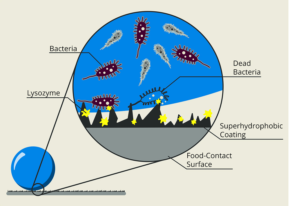 Schematic showing Dr. Akbulut’s dual-function coating that is both superhydrophobic and antimicrobial.