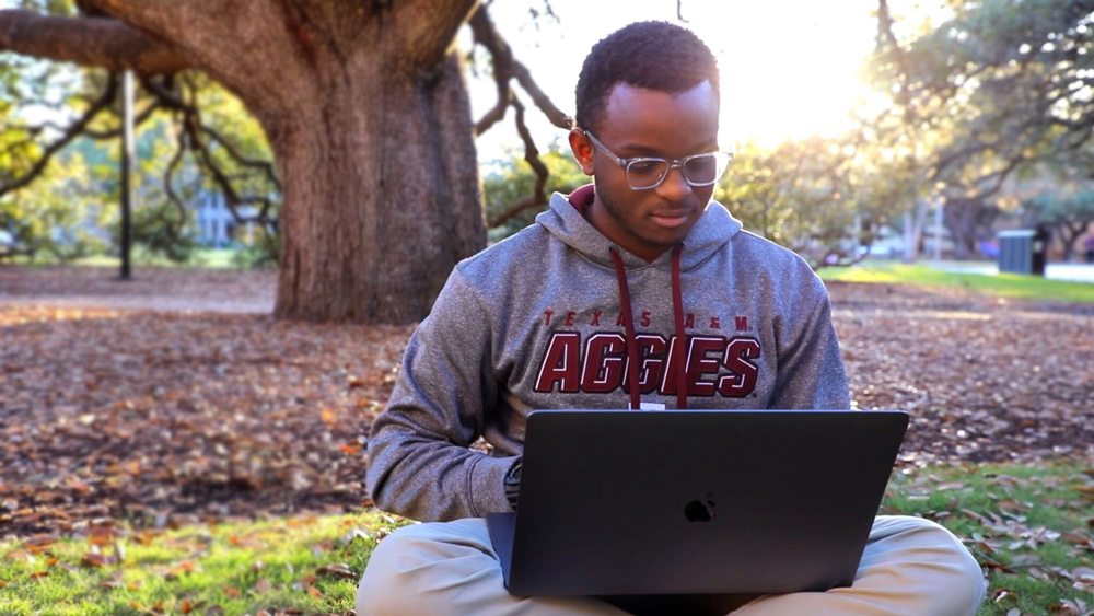 A student studying under the Century Tree using a laptop