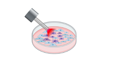 Drawing of infrared light being shown on Petri dish containing neurons