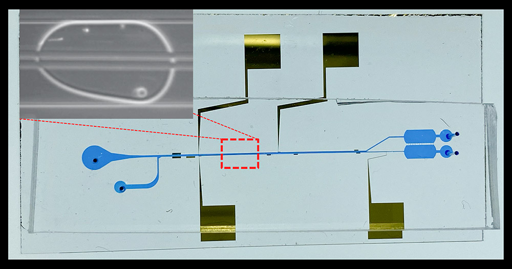 New microfluidic device showing microscopic electrodes.