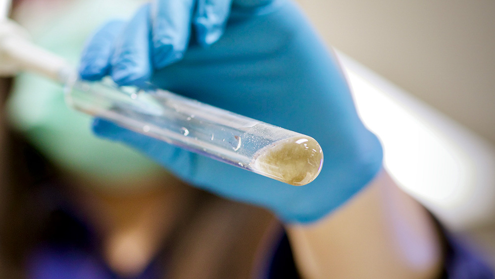 Researcher holds a test tube containing sludge and the Zobellella denitrificans ZD1 bacteria.