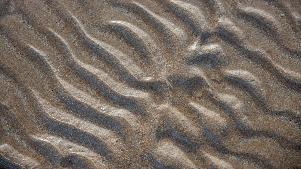 A pattern of waves in wet sand
