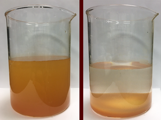 two clear glass beakers showing extremely dirty water in one and cleaner water with sedimentation in the other