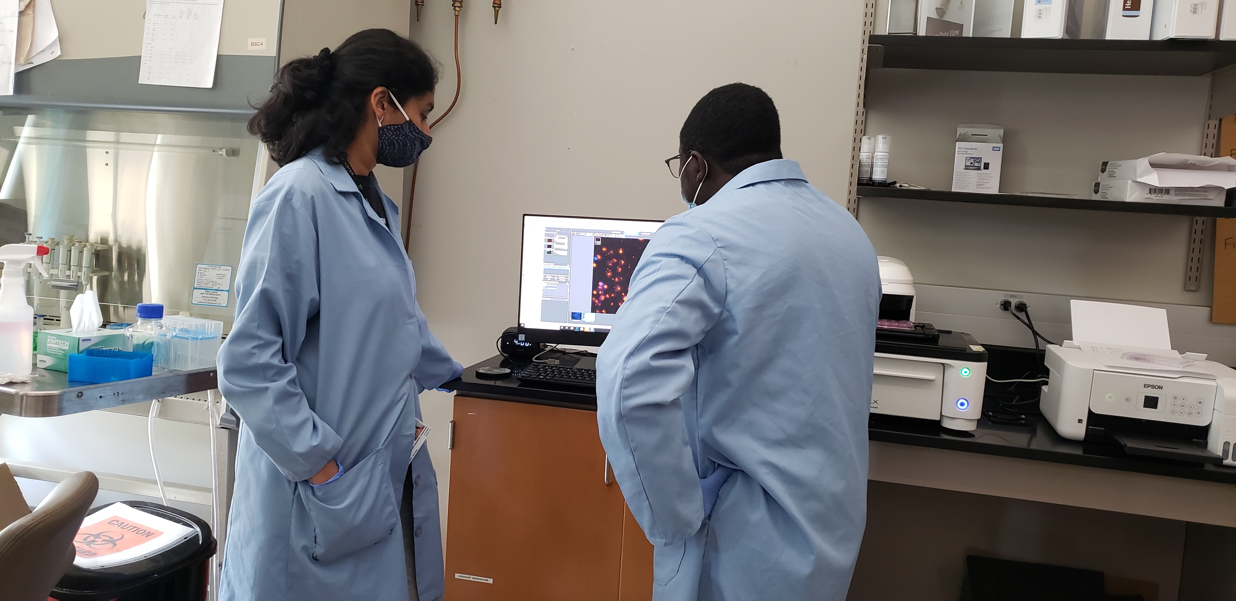 A professor and student discuss cell images in the lab