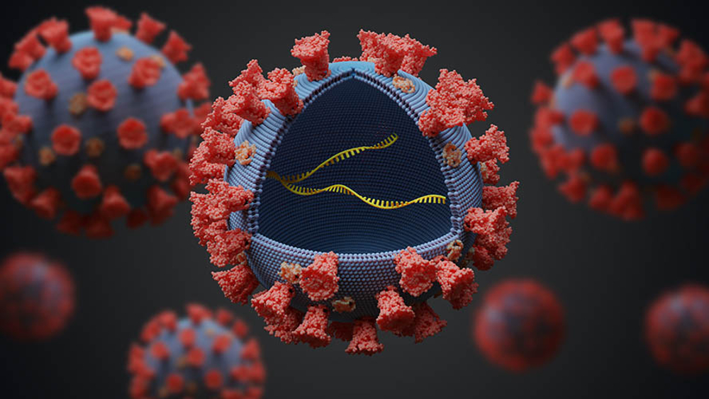COVID-19 virus molecule and a strand of RNA