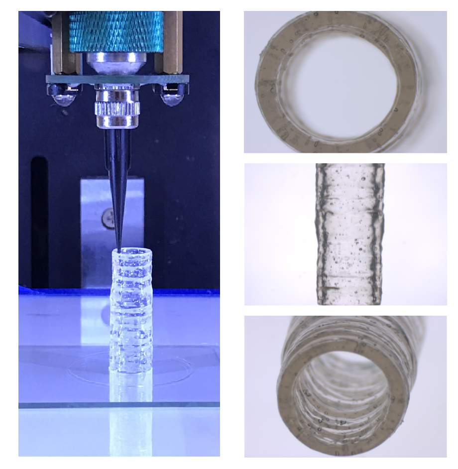 Photos of cylindrical clear 3D bioprinted vascular model