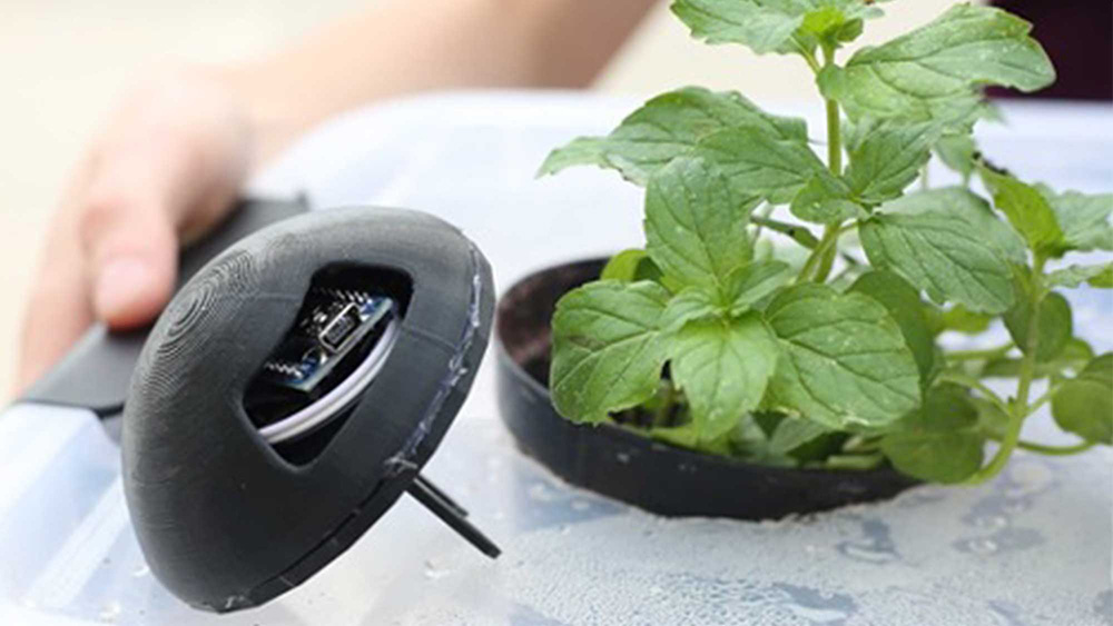 The first-place winning project from team Green Thumb included a functioning prototype complete with a 3D printed housing unit, sensor and plants.  