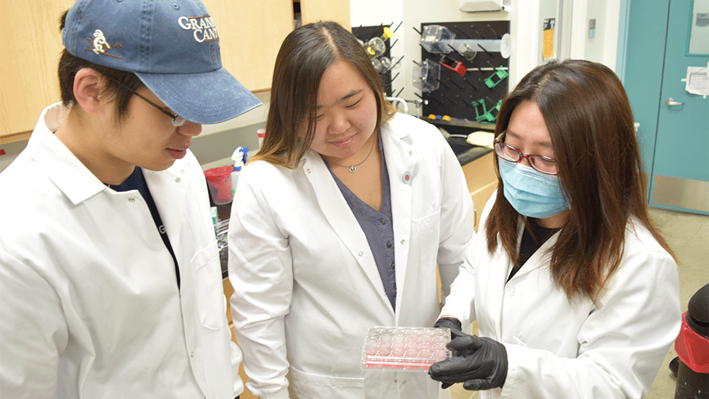 Dr. Sun in lab with students 