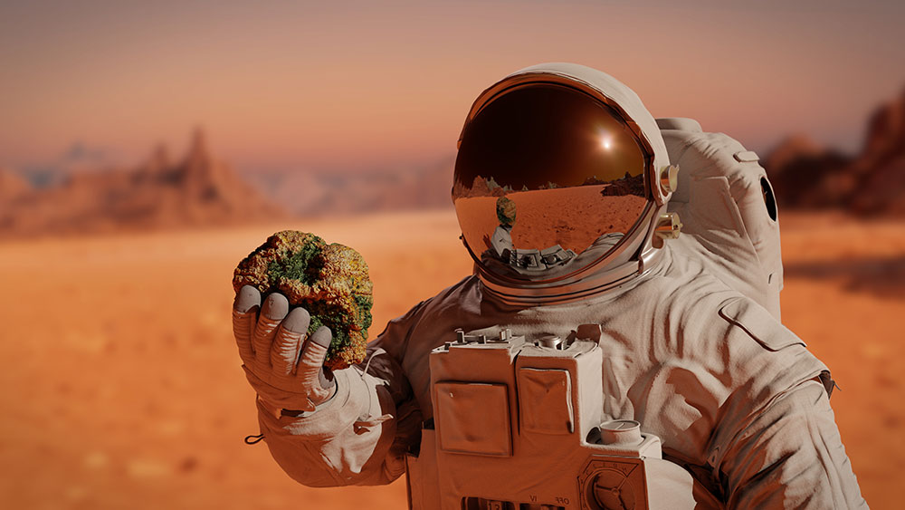 An astronaut holding and looking at a rock on a vibrant orange Mars.