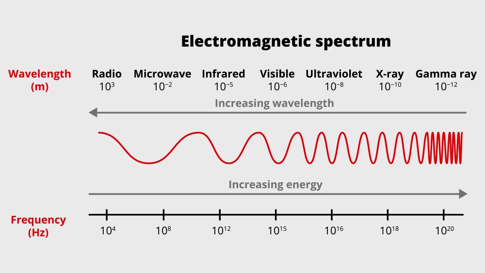 Scientific illustration of the electromagnetic spectrum – radio, microwave, infrared, visible, ultraviolet, x-ray, gamma-ray waves isolated on a white background. Frequency and wavelength; increasing energy; increasing wavelength; frequency modulation.
