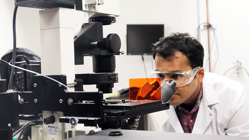 Graduate student using a microscope 