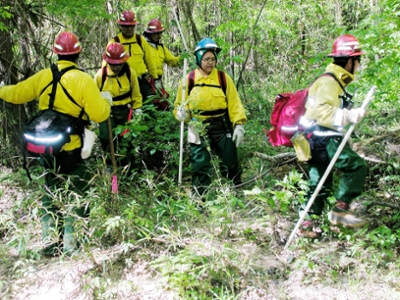People wearing yellow jackets, gloves and helmets and carrying wooden poles move through a clearing of tall grass.