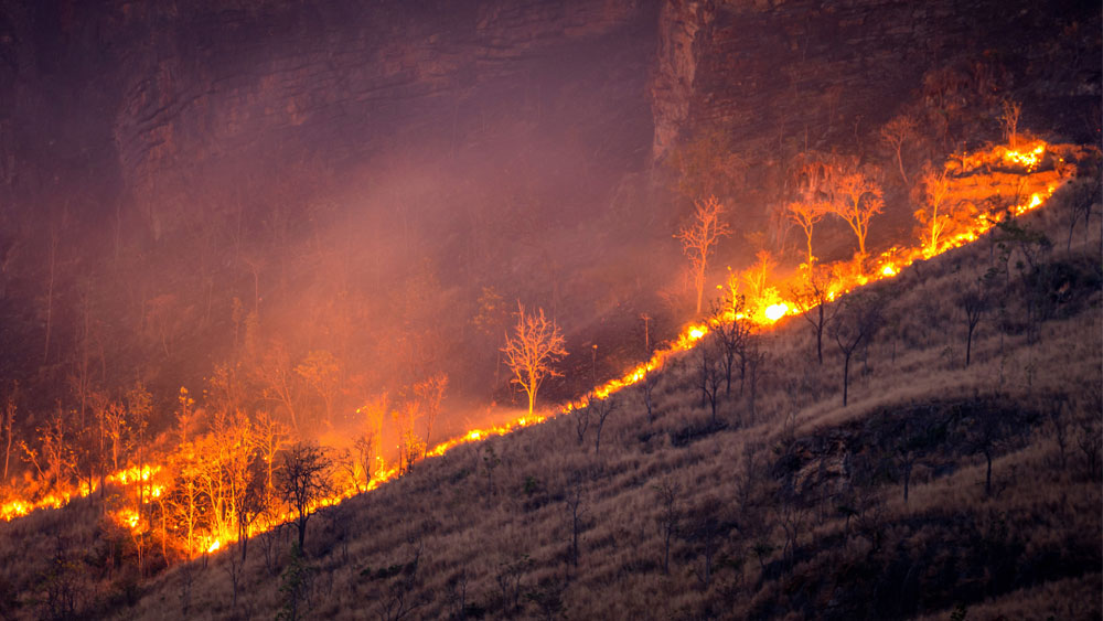 A wildfire burns across a mountainside.  