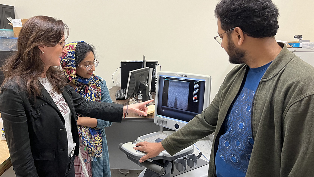 Dr. Raffaella Righetti points at a computer screen showing an image of a CT scan  while two graduate students observe.
