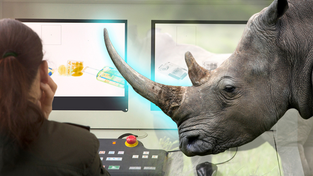 Graphic of Rhino with light blue glowing horn next to female customs agent inspecting security x-rays of packages. 