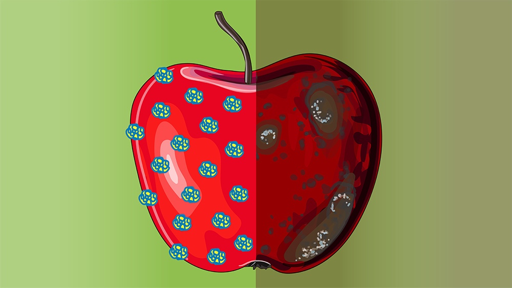 An illustrated image of an apple with a wax coating. 