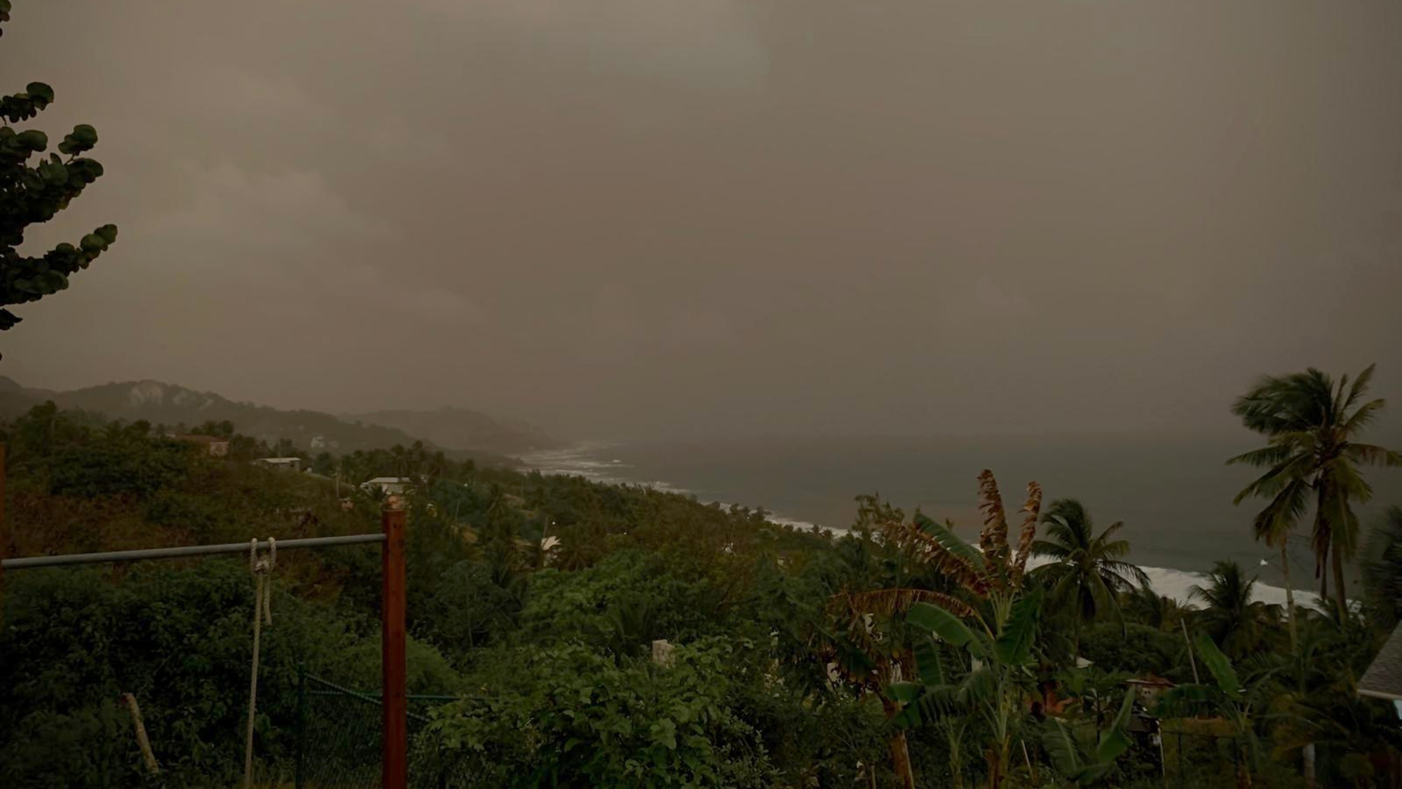 An elevated view of a coast, with palm trees and other foliage and an ocean in the background, smothered by a dust-filled, hazy atmosphere.
